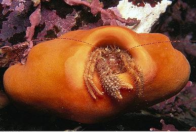 第一人称心理恐怖游戏《Lempo》实机预告